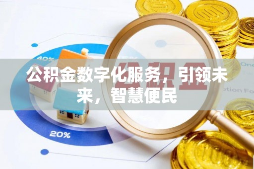 栾川公积金数字化服务，引领未来，智慧便民