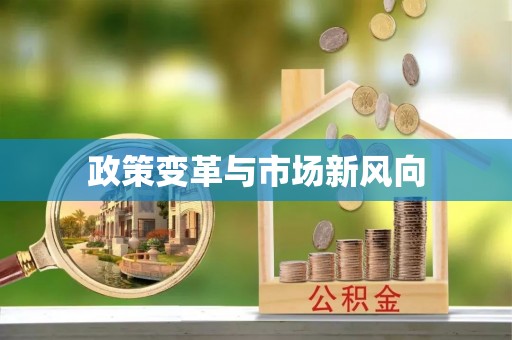 栾川政策变革与市场新风向