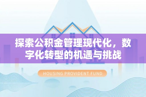 栾川探索公积金管理现代化，数字化转型的机遇与挑战
