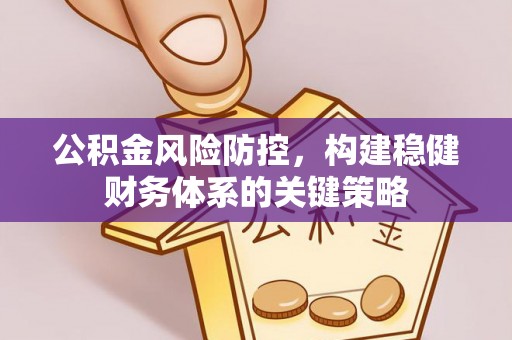 栾川公积金风险防控，构建稳健财务体系的关键策略