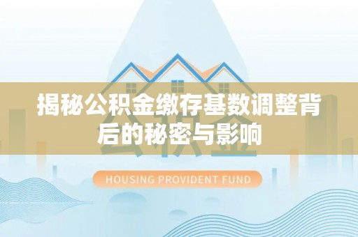 栾川揭秘公积金缴存基数调整背后的秘密与影响