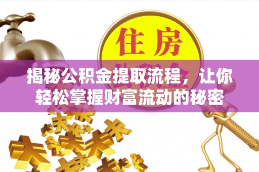 栾川揭秘公积金提取流程，让你轻松掌握财富流动的秘密