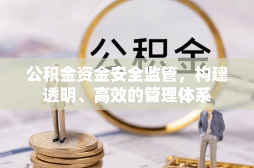 栾川公积金资金安全监管，构建透明、高效的管理体系