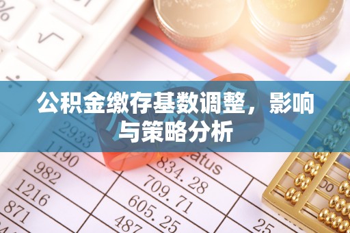 栾川公积金缴存基数调整，影响与策略分析