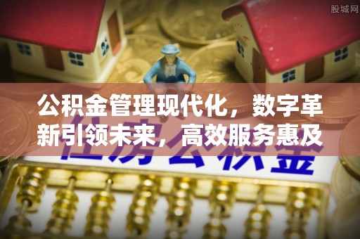 栾川公积金管理现代化，数字革新引领未来，高效服务惠及民生