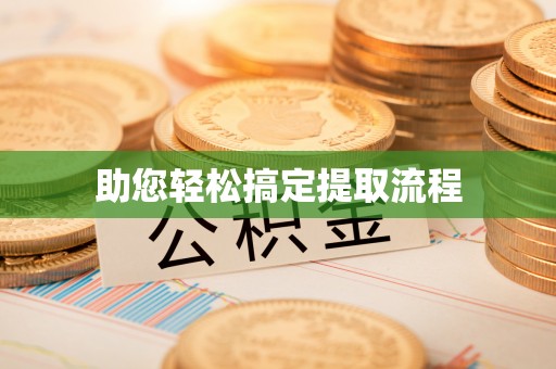 栾川助您轻松搞定提取流程