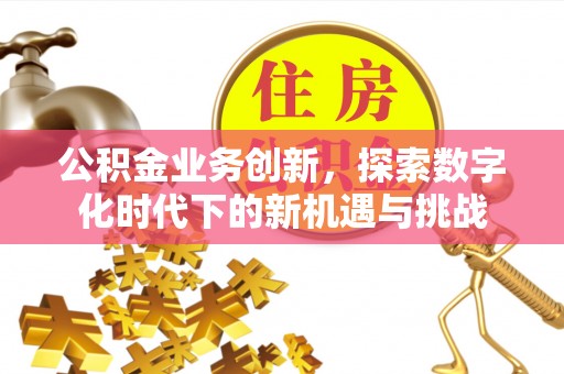 栾川公积金业务创新，探索数字化时代下的新机遇与挑战