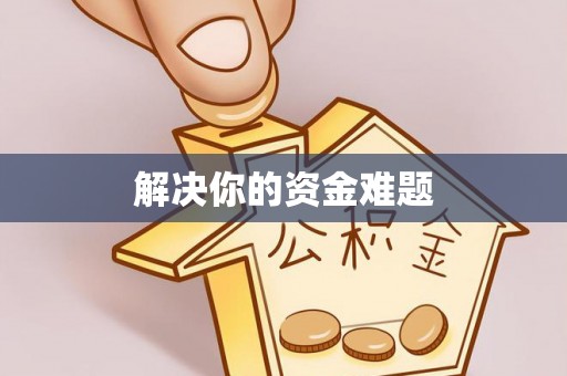 栾川解决你的资金难题