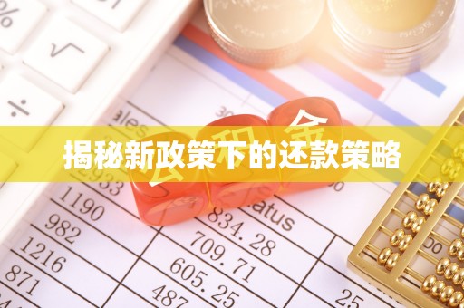 栾川揭秘新政策下的还款策略