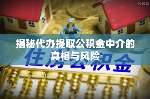 栾川揭秘代办提取公积金中介的真相与风险