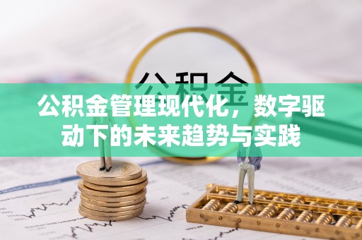 栾川公积金管理现代化，数字驱动下的未来趋势与实践