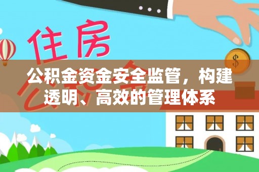 栾川公积金资金安全监管，构建透明、高效的管理体系