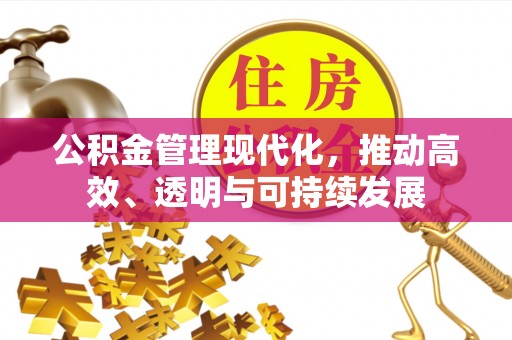 栾川公积金管理现代化，推动高效、透明与可持续发展