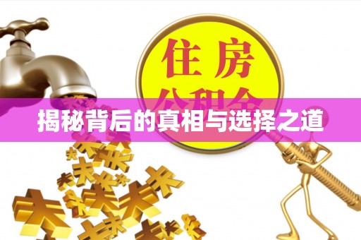 栾川揭秘背后的真相与选择之道