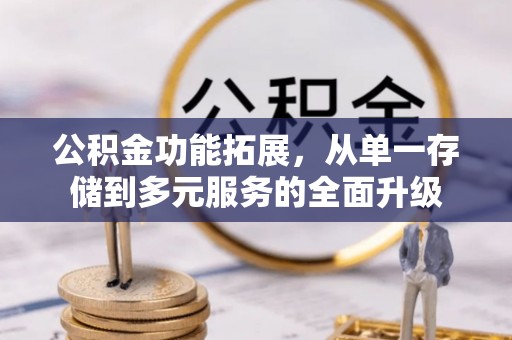 栾川公积金功能拓展，从单一存储到多元服务的全面升级