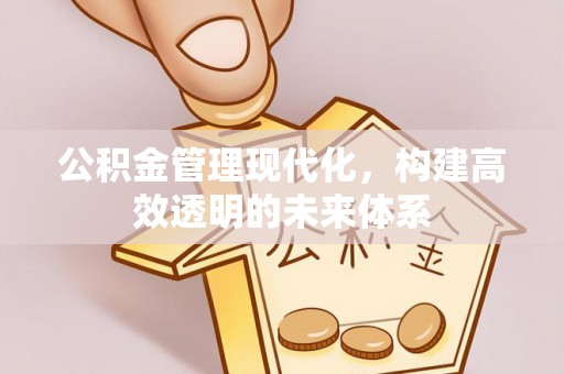 栾川公积金管理现代化，构建高效透明的未来体系
