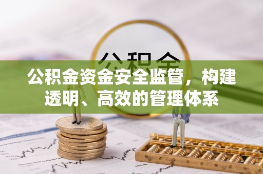 栾川公积金资金安全监管，构建透明、高效的管理体系