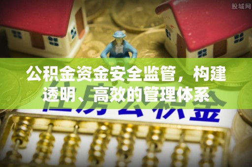 栾川公积金资金安全监管，构建透明、高效的管理体系