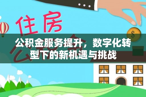 栾川公积金服务提升，数字化转型下的新机遇与挑战