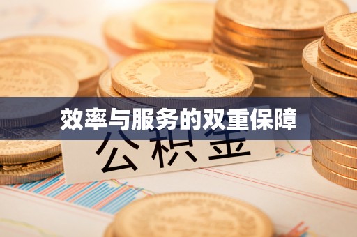 栾川效率与服务的双重保障