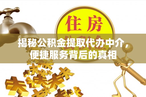 栾川揭秘公积金提取代办中介，便捷服务背后的真相
