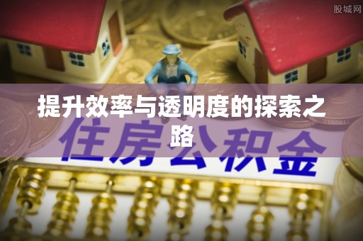 栾川提升效率与透明度的探索之路