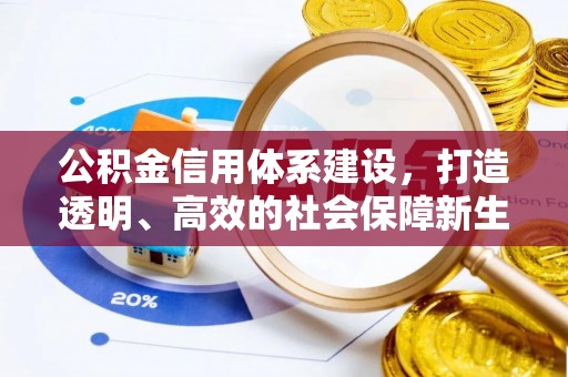 栾川公积金信用体系建设，打造透明、高效的社会保障新生态