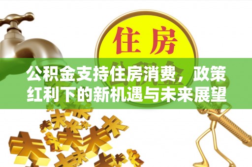 栾川公积金支持住房消费，政策红利下的新机遇与未来展望