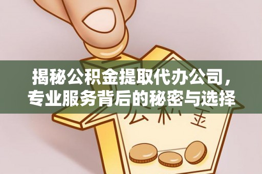 栾川揭秘公积金提取代办公司，专业服务背后的秘密与选择指南