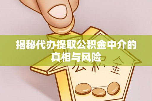栾川揭秘代办提取公积金中介的真相与风险