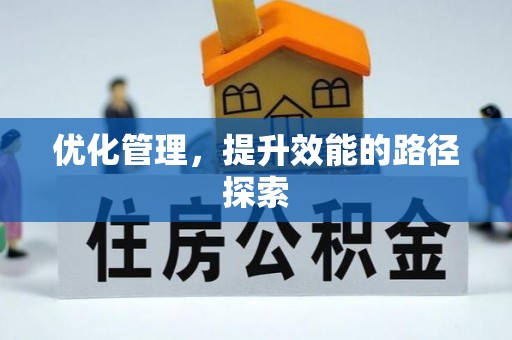 栾川优化管理，提升效能的路径探索