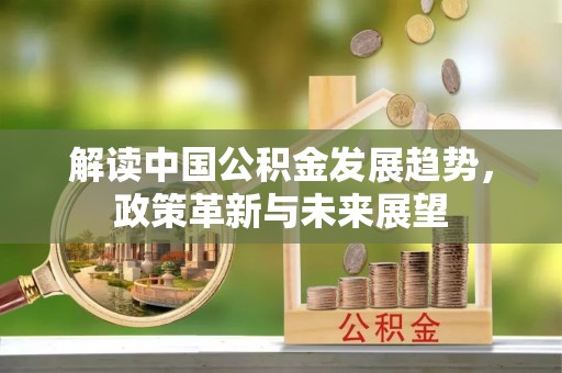 栾川解读中国公积金发展趋势，政策革新与未来展望