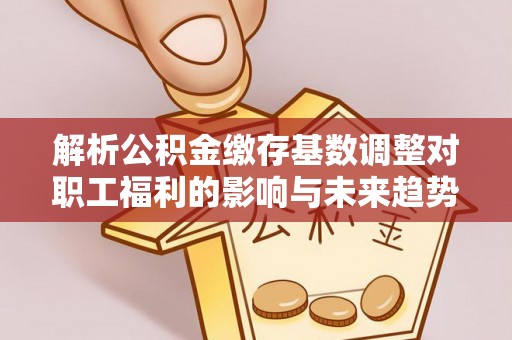 栾川解析公积金缴存基数调整对职工福利的影响与未来趋势