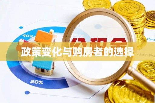 栾川政策变化与购房者的选择