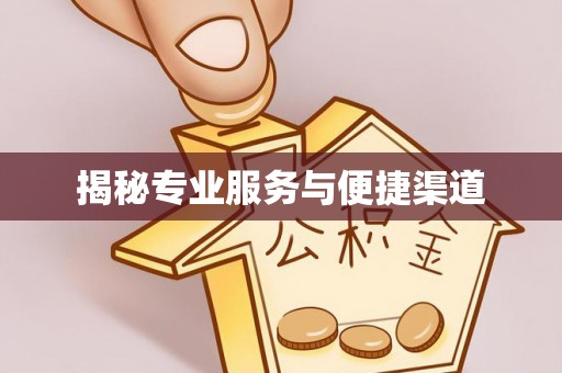 栾川揭秘专业服务与便捷渠道