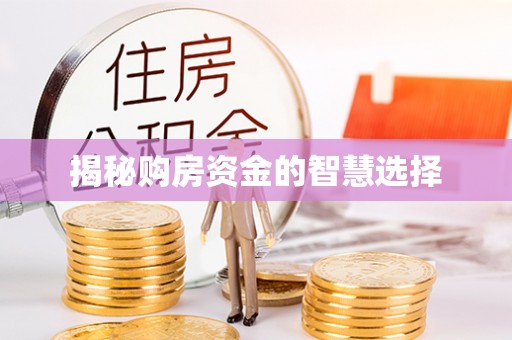 栾川揭秘购房资金的智慧选择