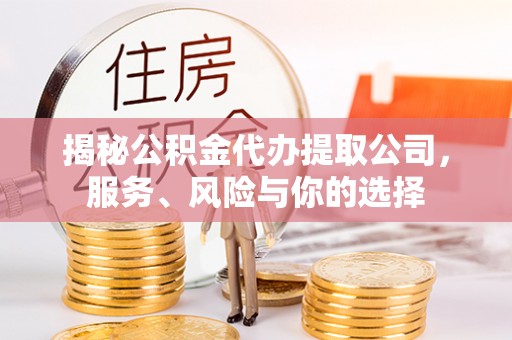 栾川揭秘公积金代办提取公司，服务、风险与你的选择