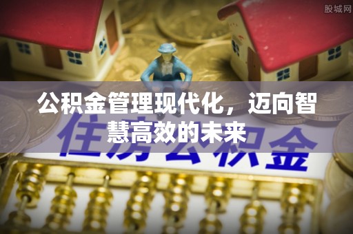 栾川公积金管理现代化，迈向智慧高效的未来