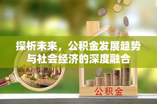 栾川探析未来，公积金发展趋势与社会经济的深度融合