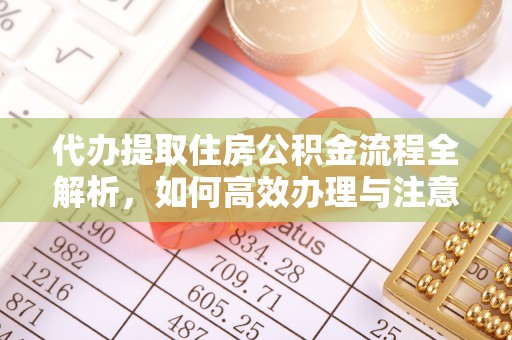 栾川代办提取住房公积金流程全解析，如何高效办理与注意事项