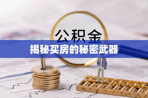 栾川揭秘买房的秘密武器
