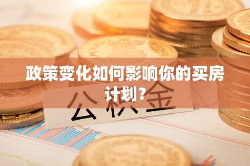 栾川政策变化如何影响你的买房计划？