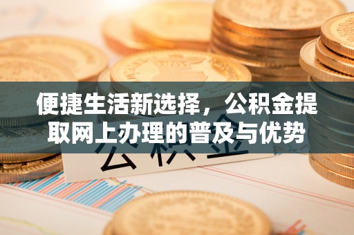 栾川便捷生活新选择，公积金提取网上办理的普及与优势