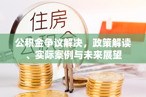 栾川公积金争议解决，政策解读、实际案例与未来展望