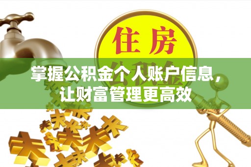 栾川掌握公积金个人账户信息，让财富管理更高效