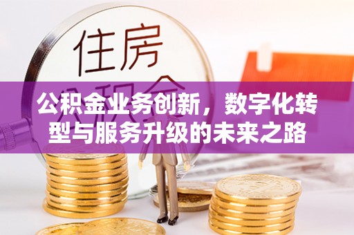 栾川公积金业务创新，数字化转型与服务升级的未来之路