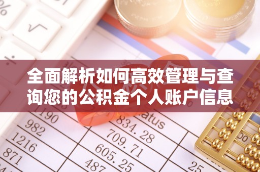 栾川全面解析如何高效管理与查询您的公积金个人账户信息