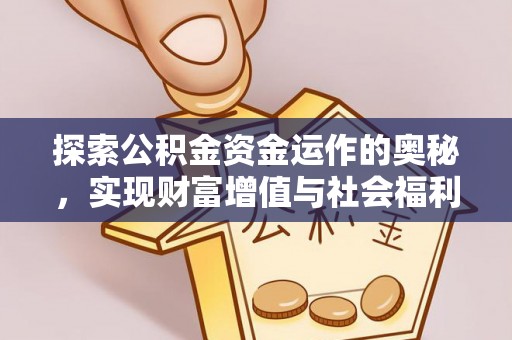 栾川探索公积金资金运作的奥秘，实现财富增值与社会福利双赢