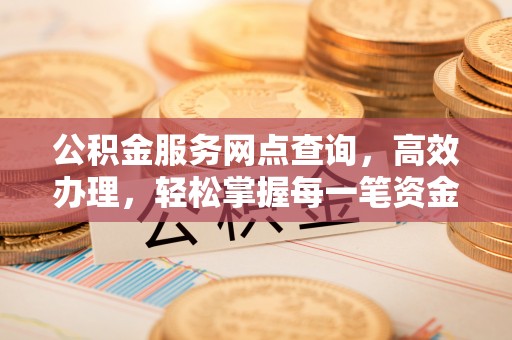 栾川公积金服务网点查询，高效办理，轻松掌握每一笔资金动态
