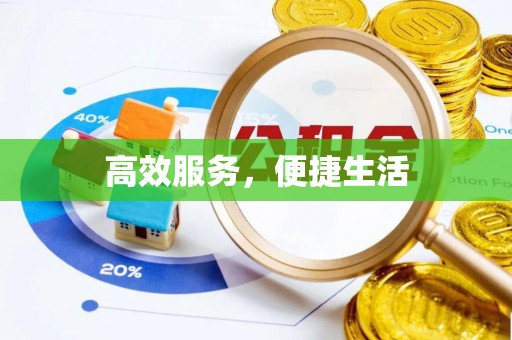 栾川高效服务，便捷生活